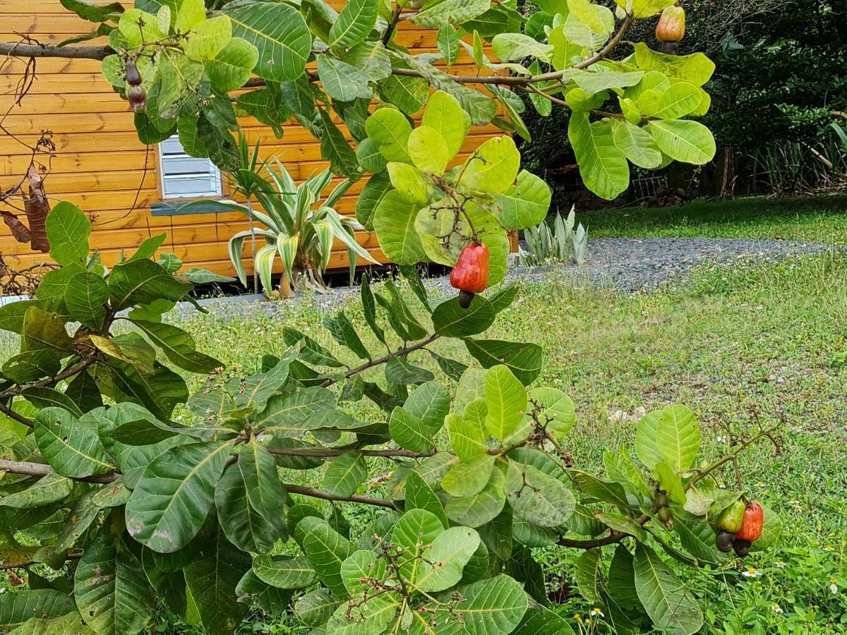 La Kaz Nature Bien-Etre Petit-Bourg Ngoại thất bức ảnh
