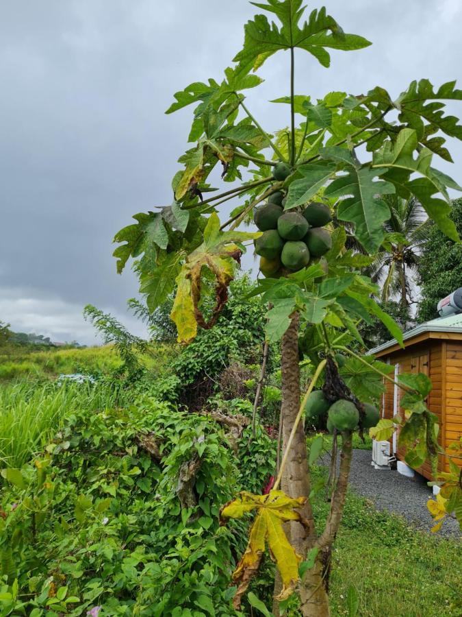 La Kaz Nature Bien-Etre Petit-Bourg Ngoại thất bức ảnh