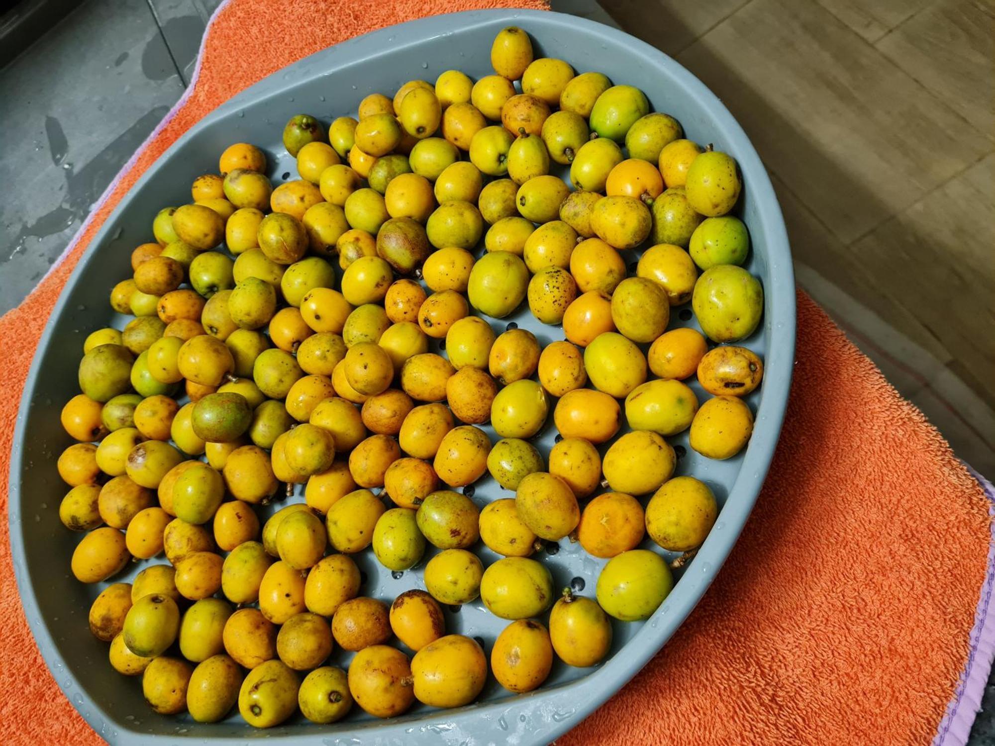 La Kaz Nature Bien-Etre Petit-Bourg Ngoại thất bức ảnh