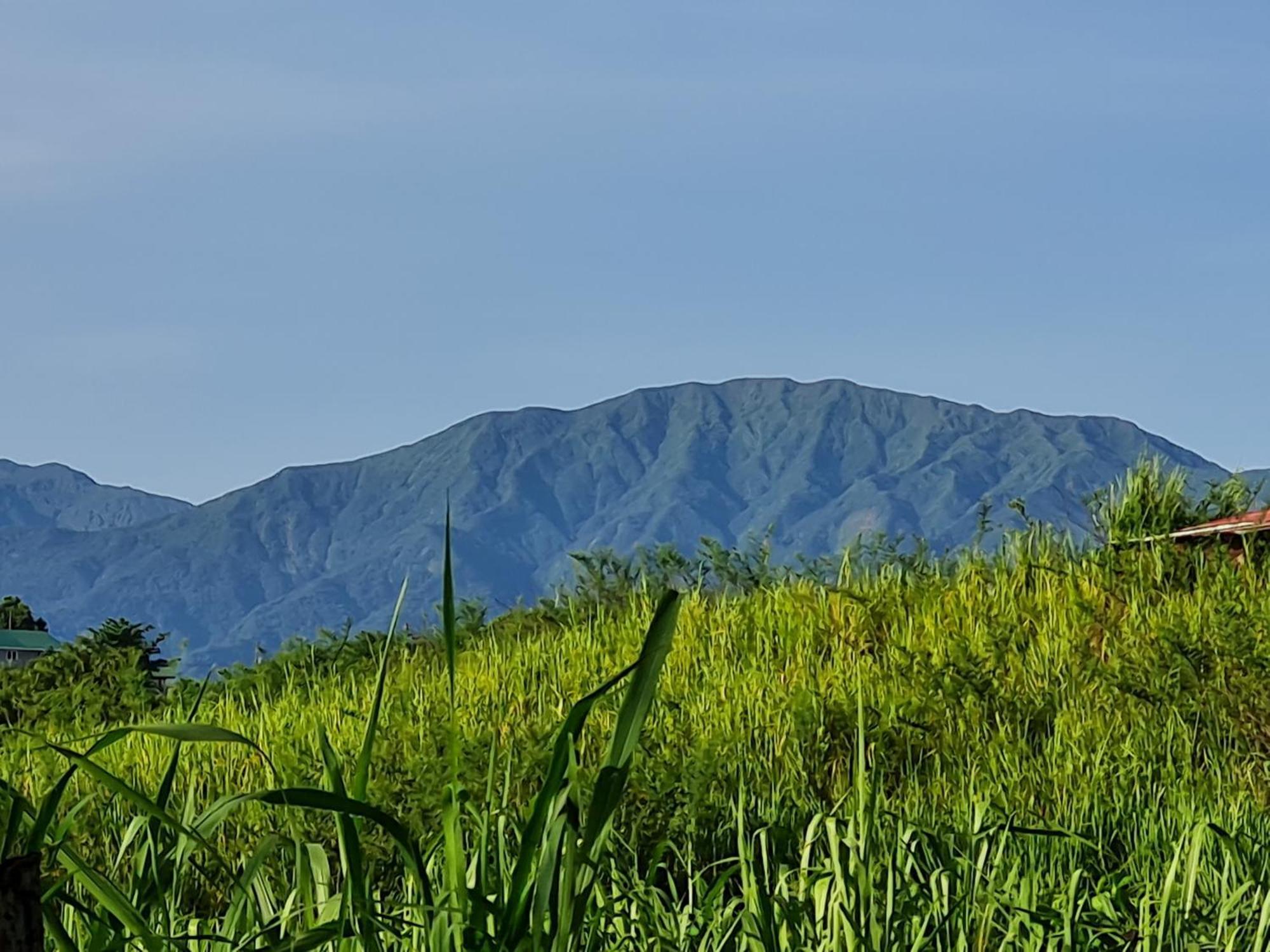 La Kaz Nature Bien-Etre Petit-Bourg Ngoại thất bức ảnh